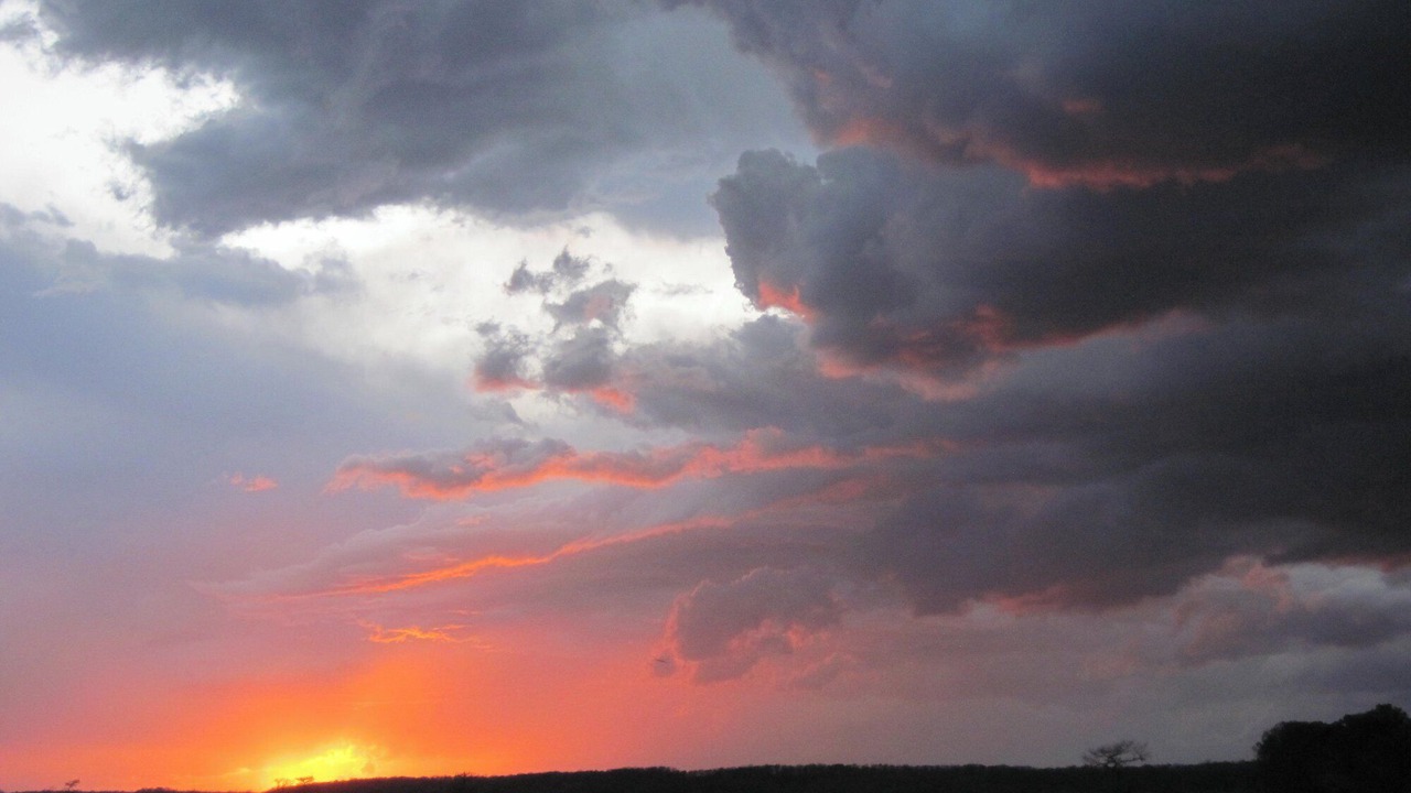 Photo of Others in Jonesville