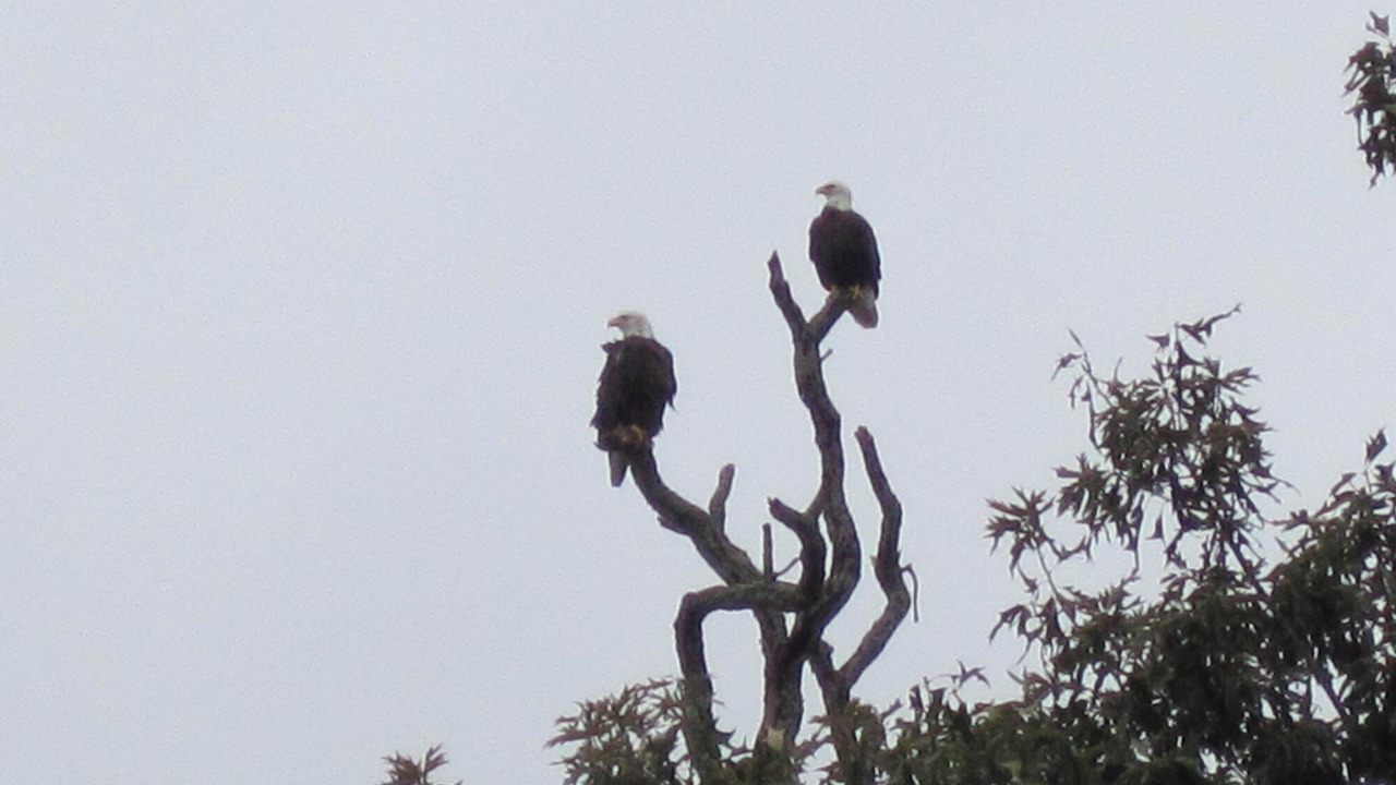Photo of Others in Jonesville
