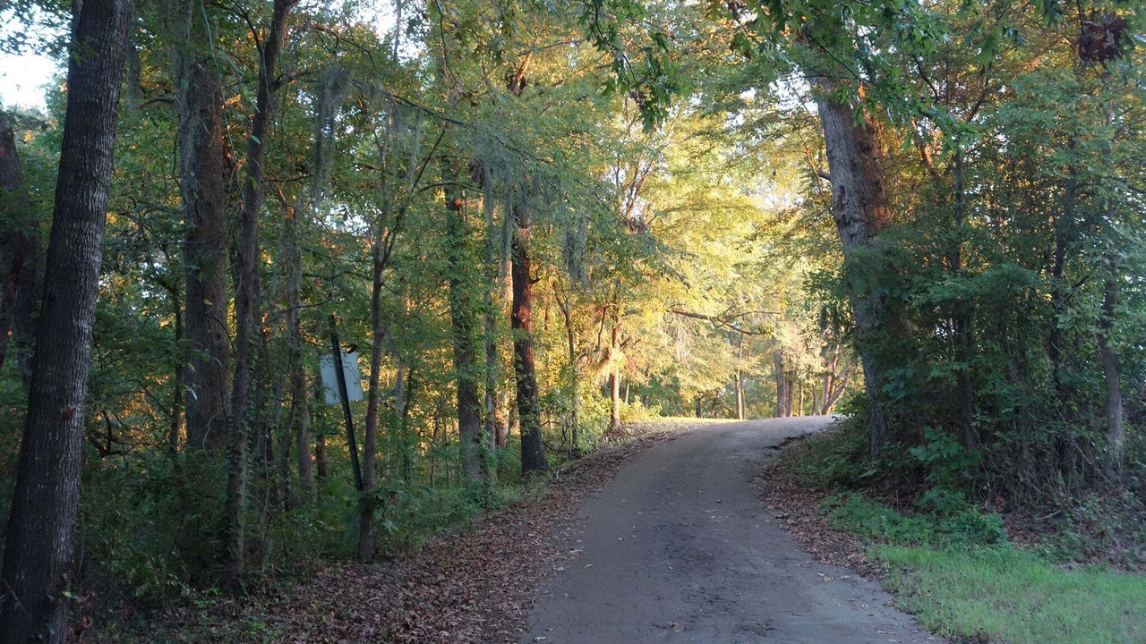 Photo of Others in Jonesville
