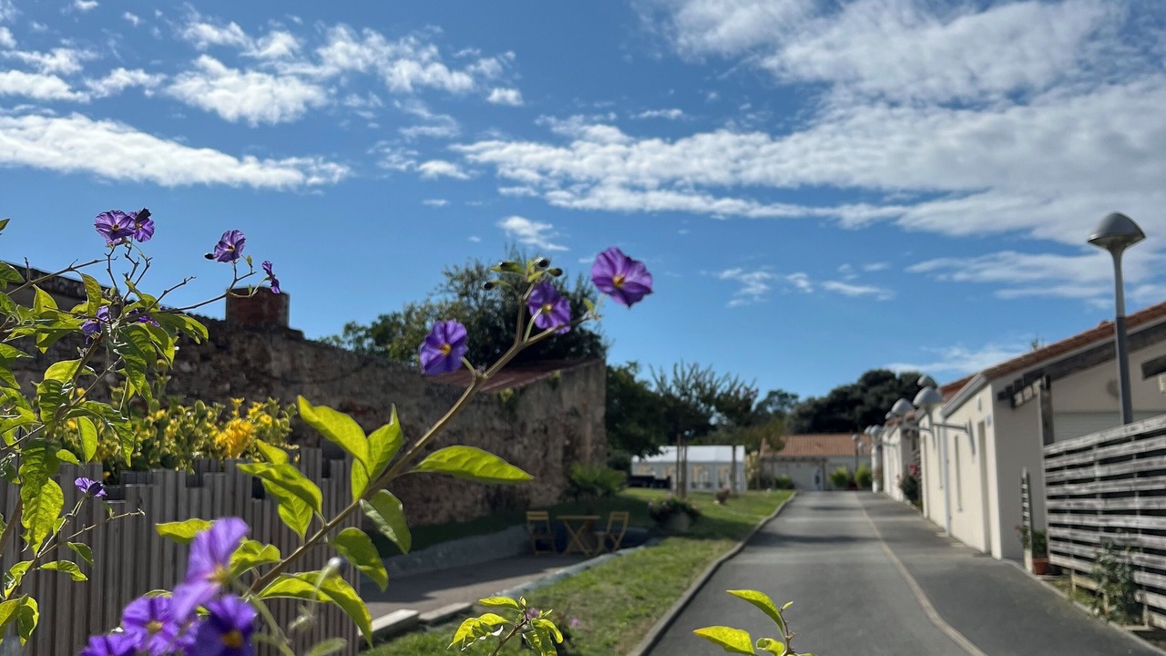 Photo of Outdoor in Olonne-sur-Mer