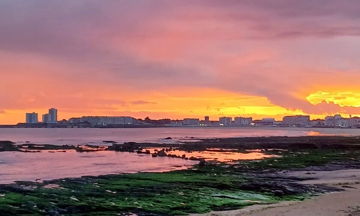 Photo of Others in Olonne-sur-Mer