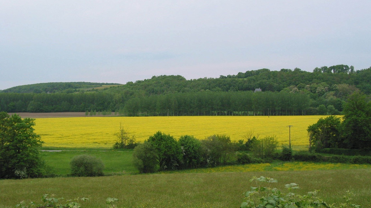 Photo of Others in Beaumont-sur-Deme