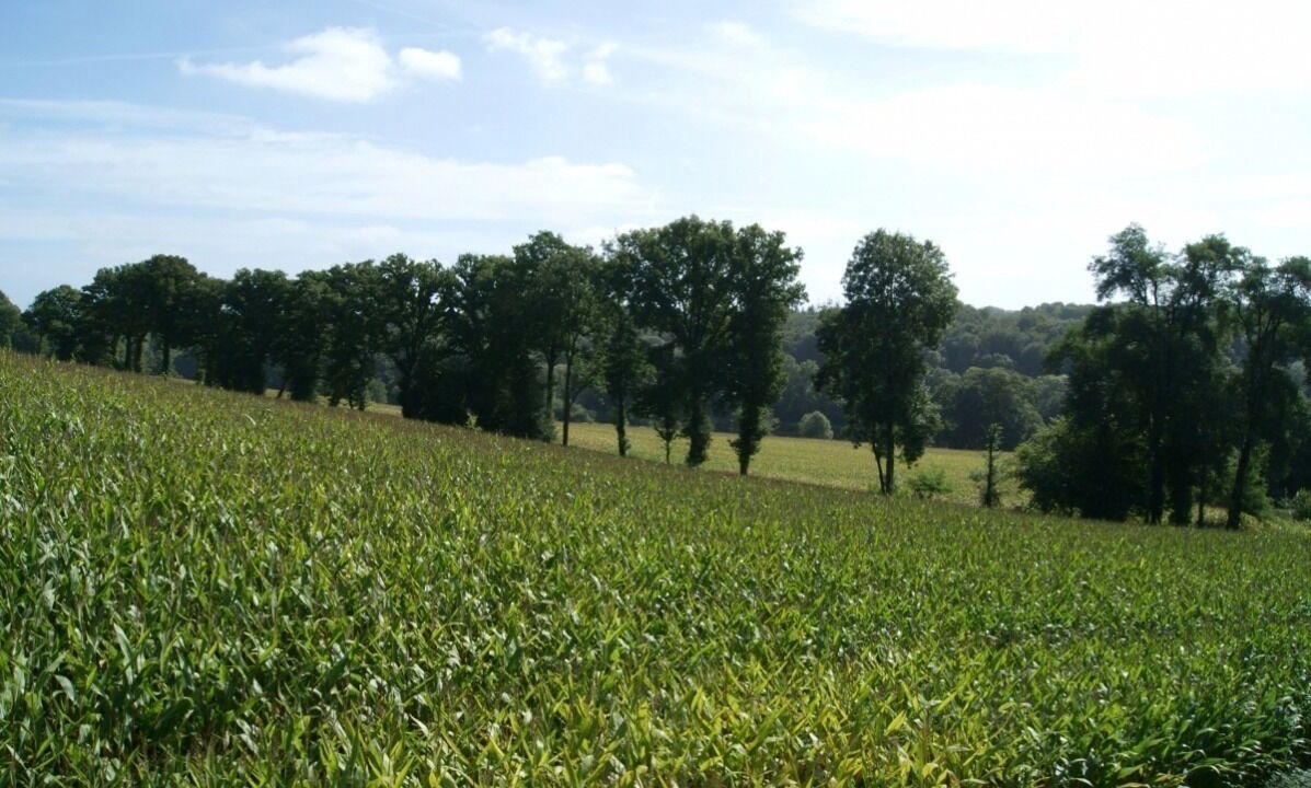 Photo of Others in Quistinic