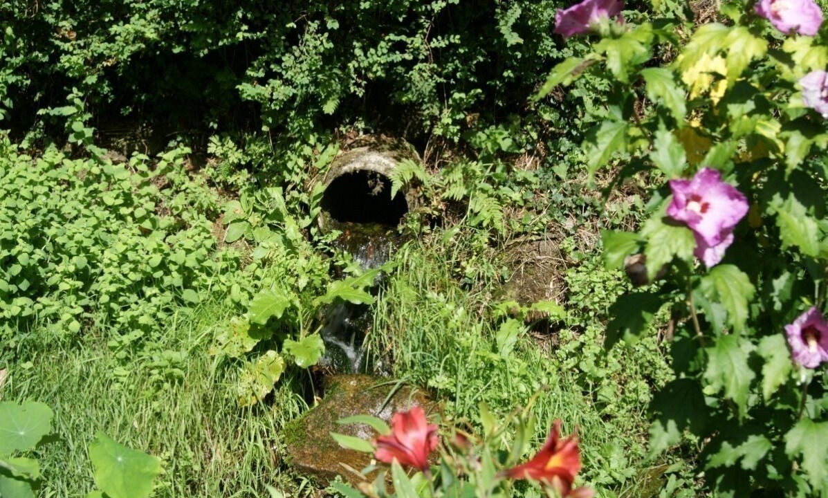 Photo of Outdoor in Quistinic