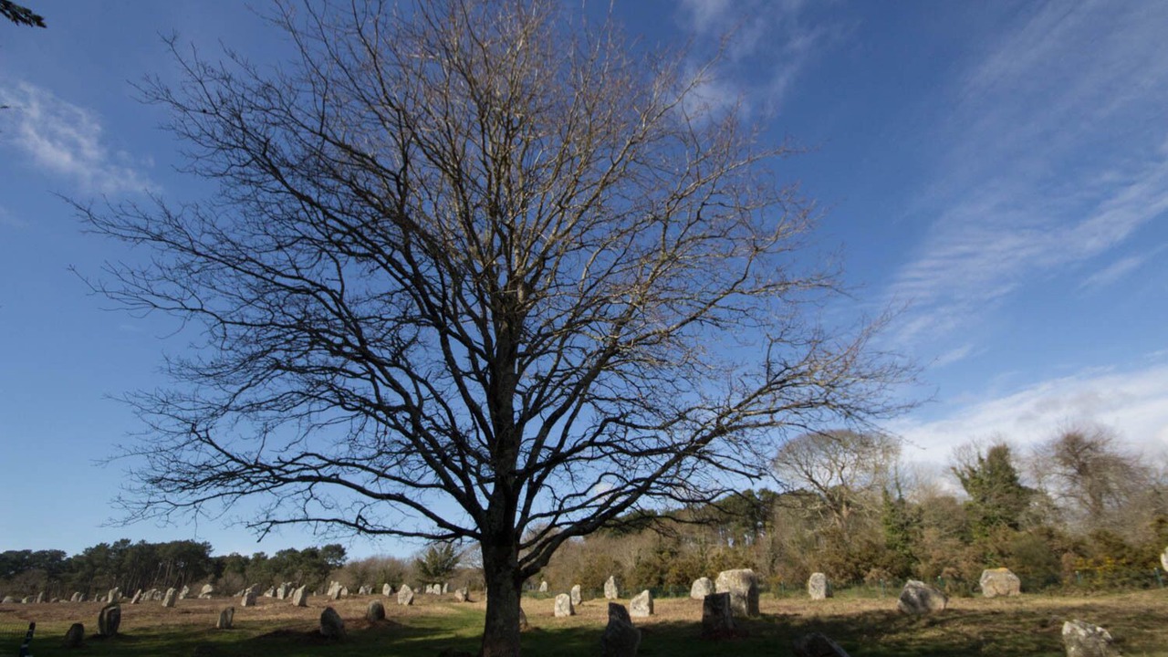 Photo of Outdoor in Carnac