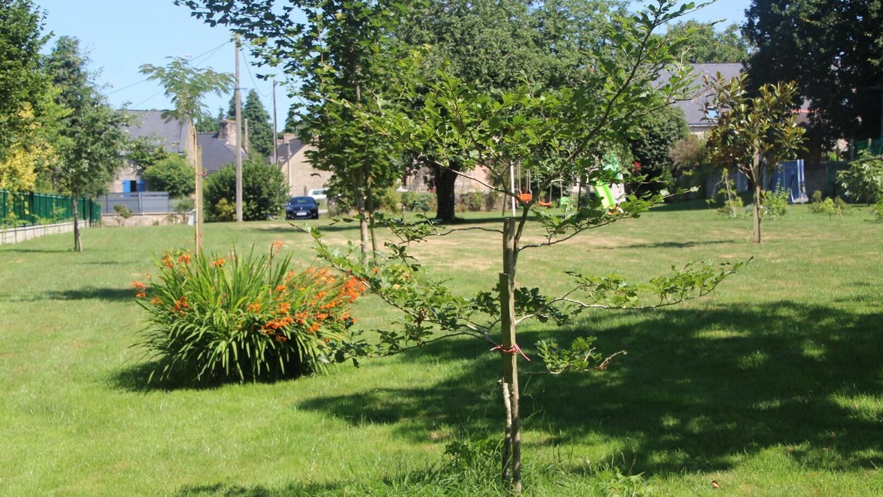 Photo of Outdoor in Plumelec