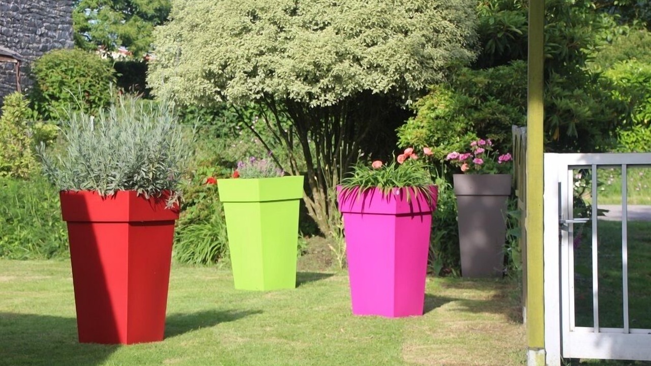 Photo of Outdoor in Plumelec