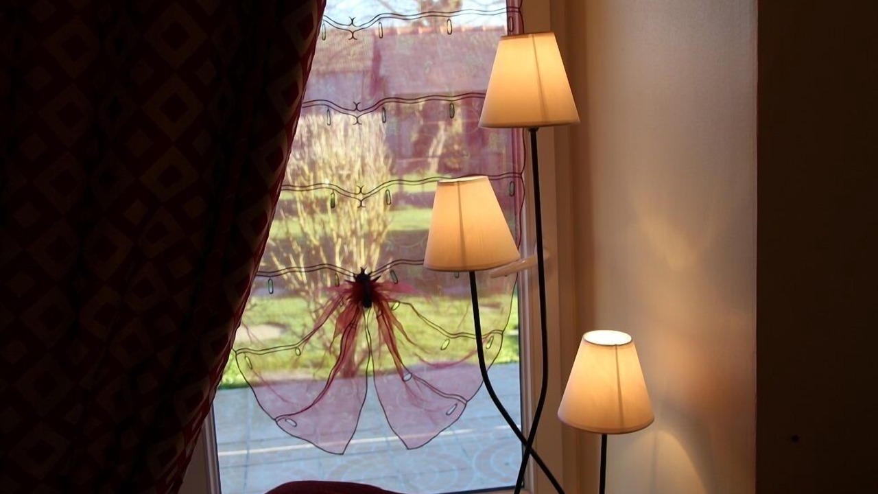 Photo of Others in Plumelec