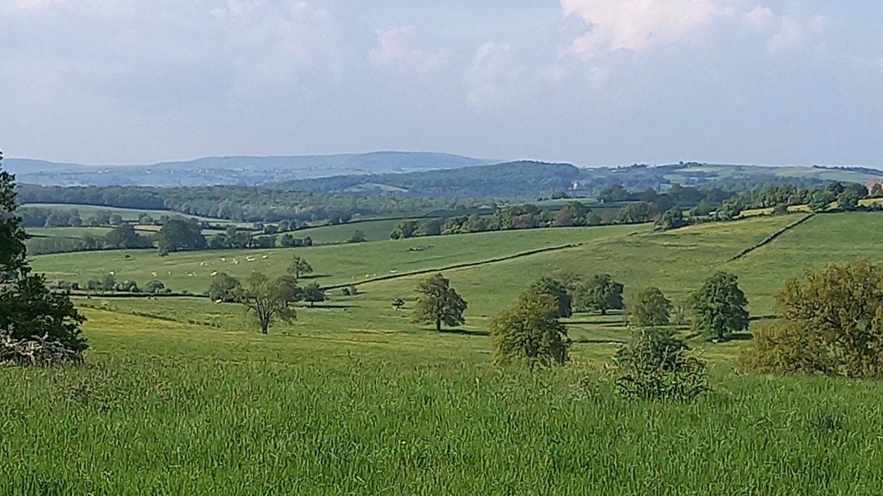 Photo of Others in Vitry-Lache