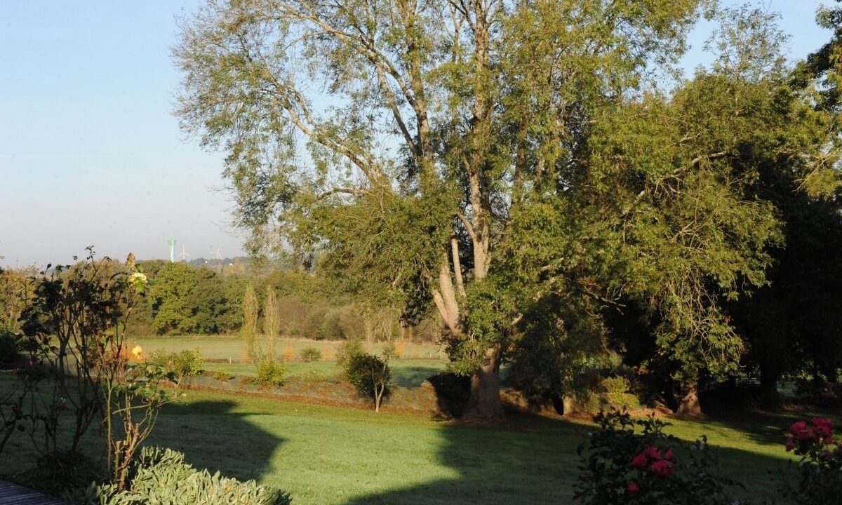 Photo of Outdoor in Muzillac
