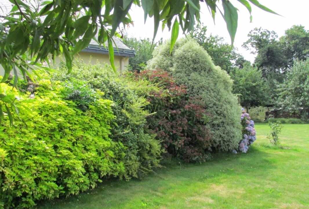 Photo of Outdoor in Grand-Champ