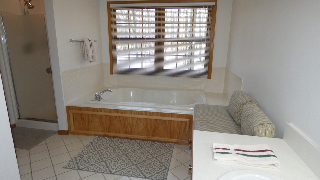 Photo of Bathroom in Mancelona