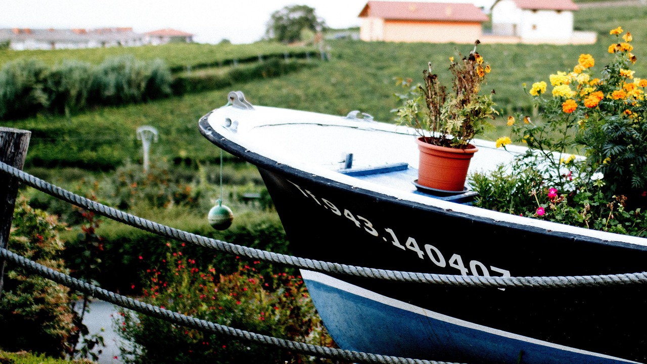 Photo of Outdoor in Getaria