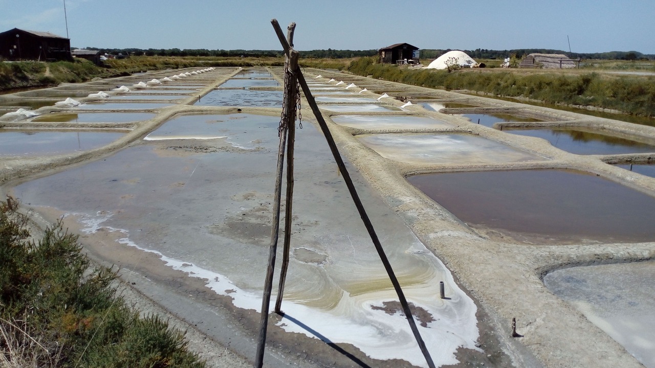 Photo of Others in La Chaume