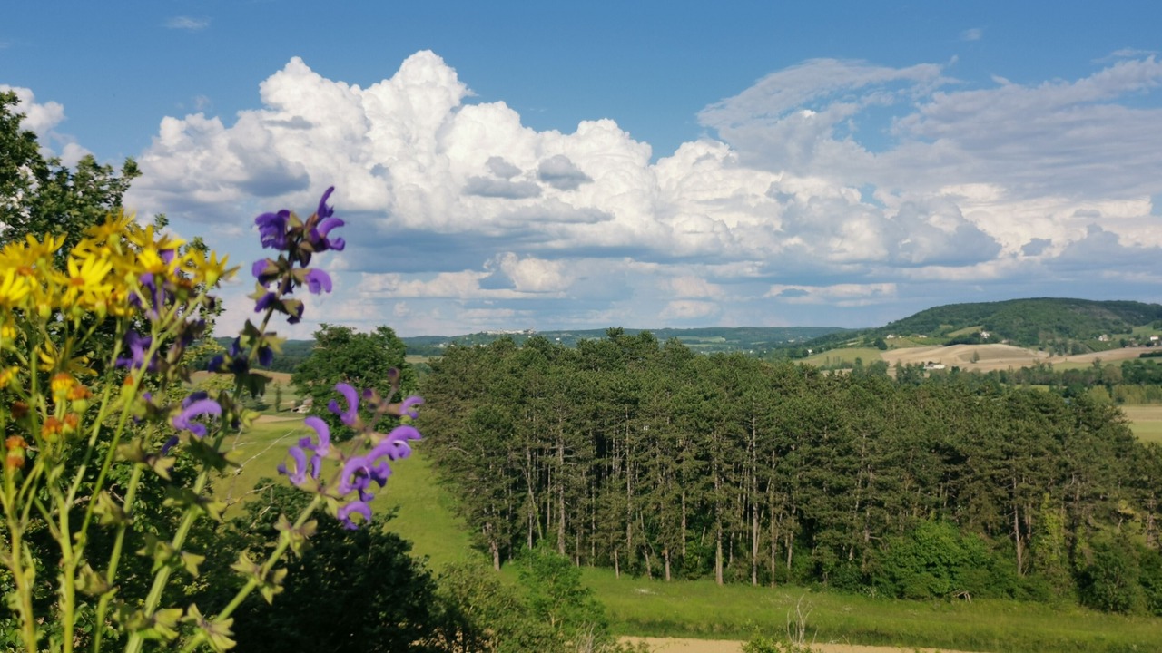 Photo of Outdoor in Cazideroque