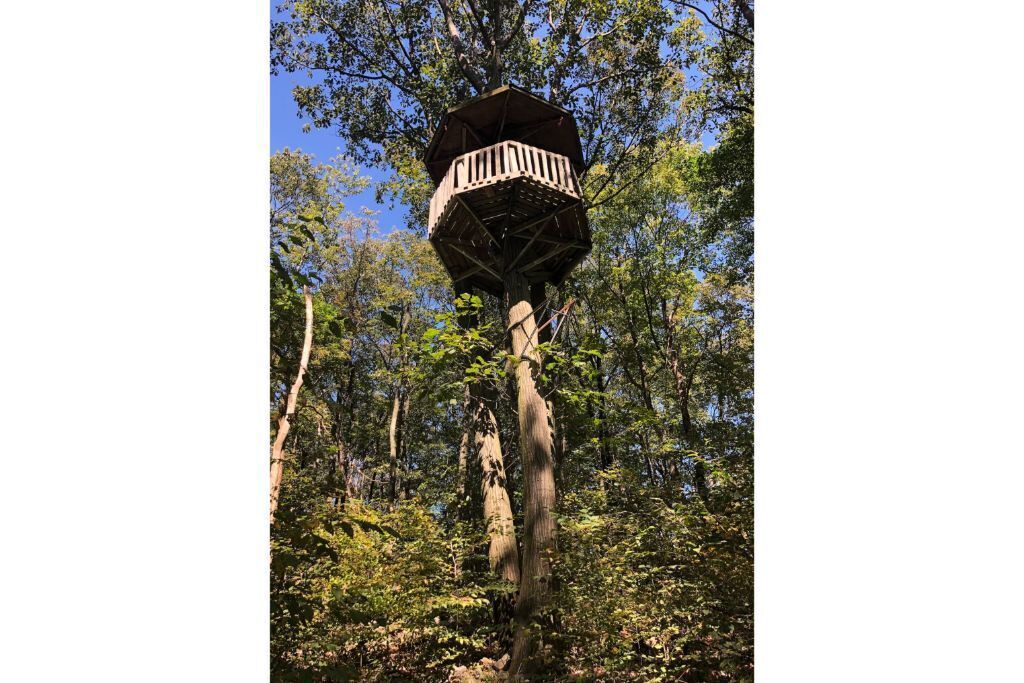 Photo of Outdoor in Rehrersburg