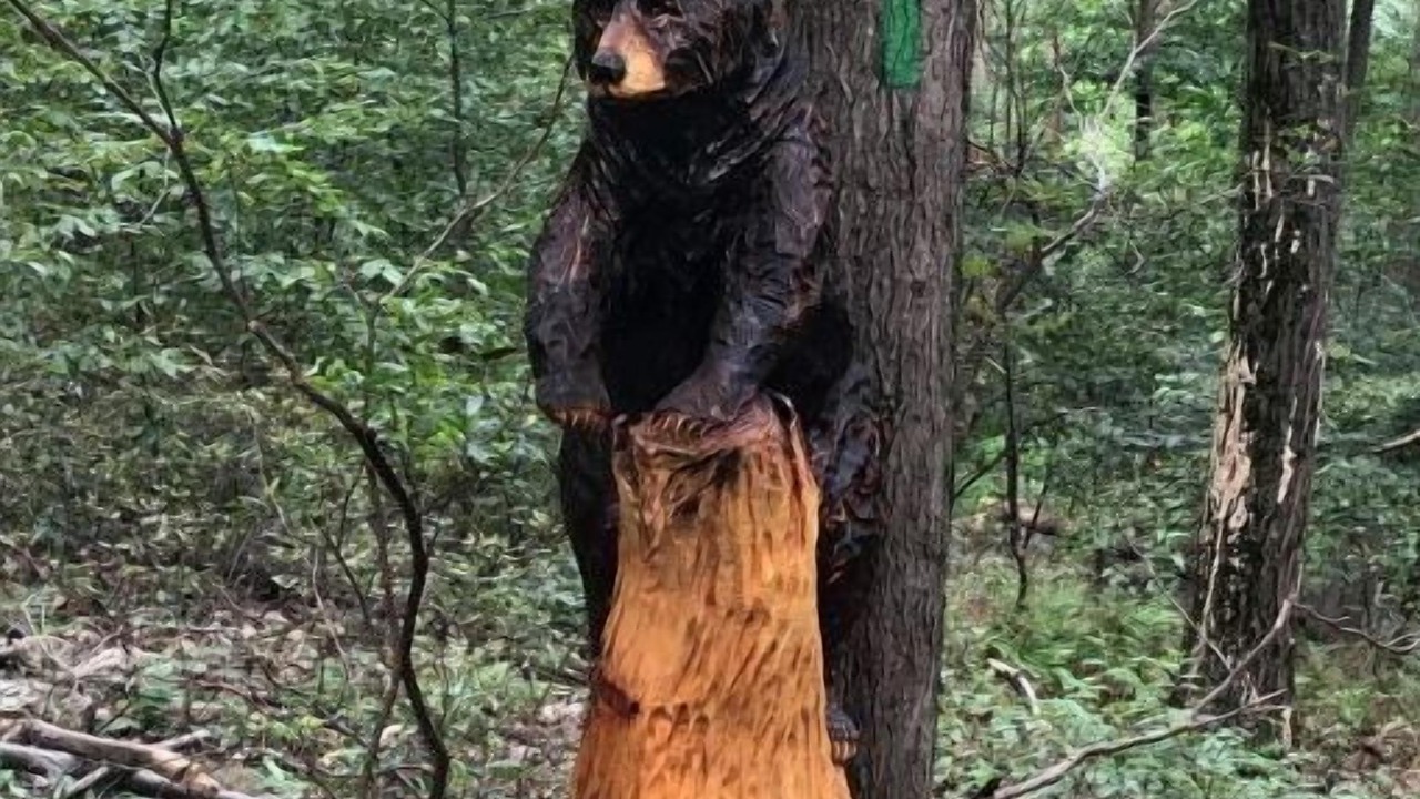 Photo of Others in Rehrersburg