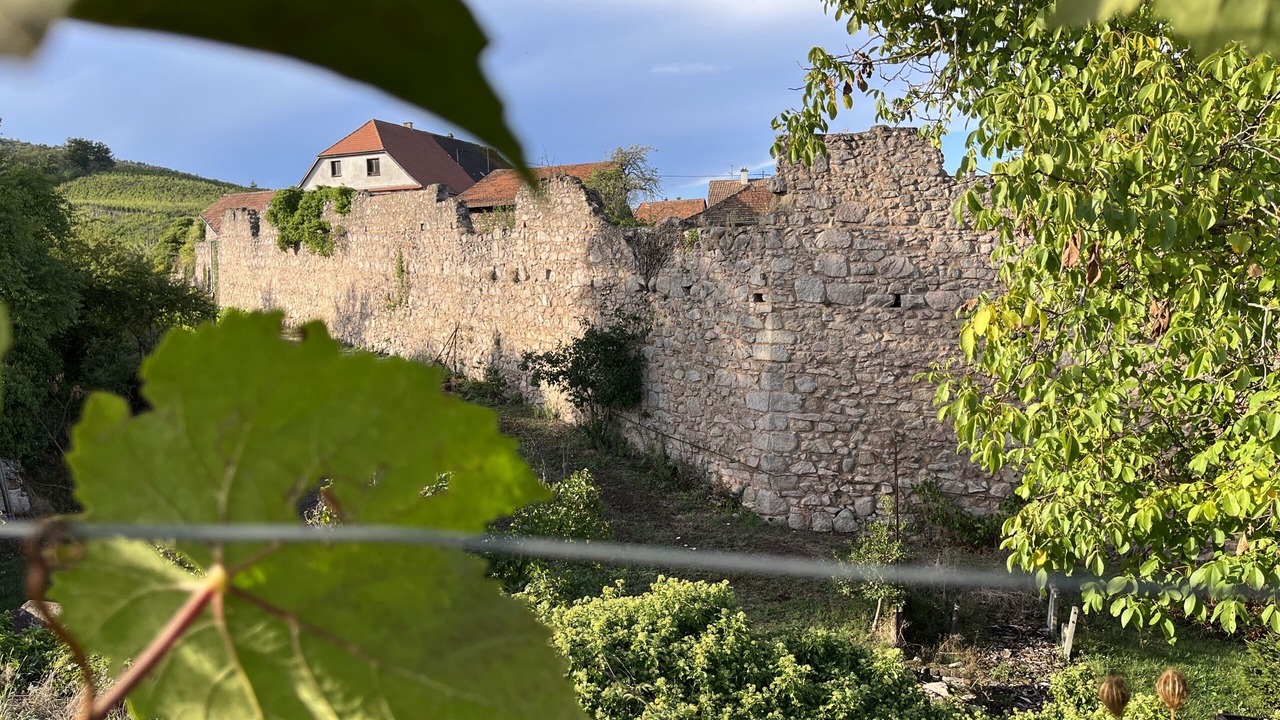 Photo of Outdoor in Dambach-la-Ville