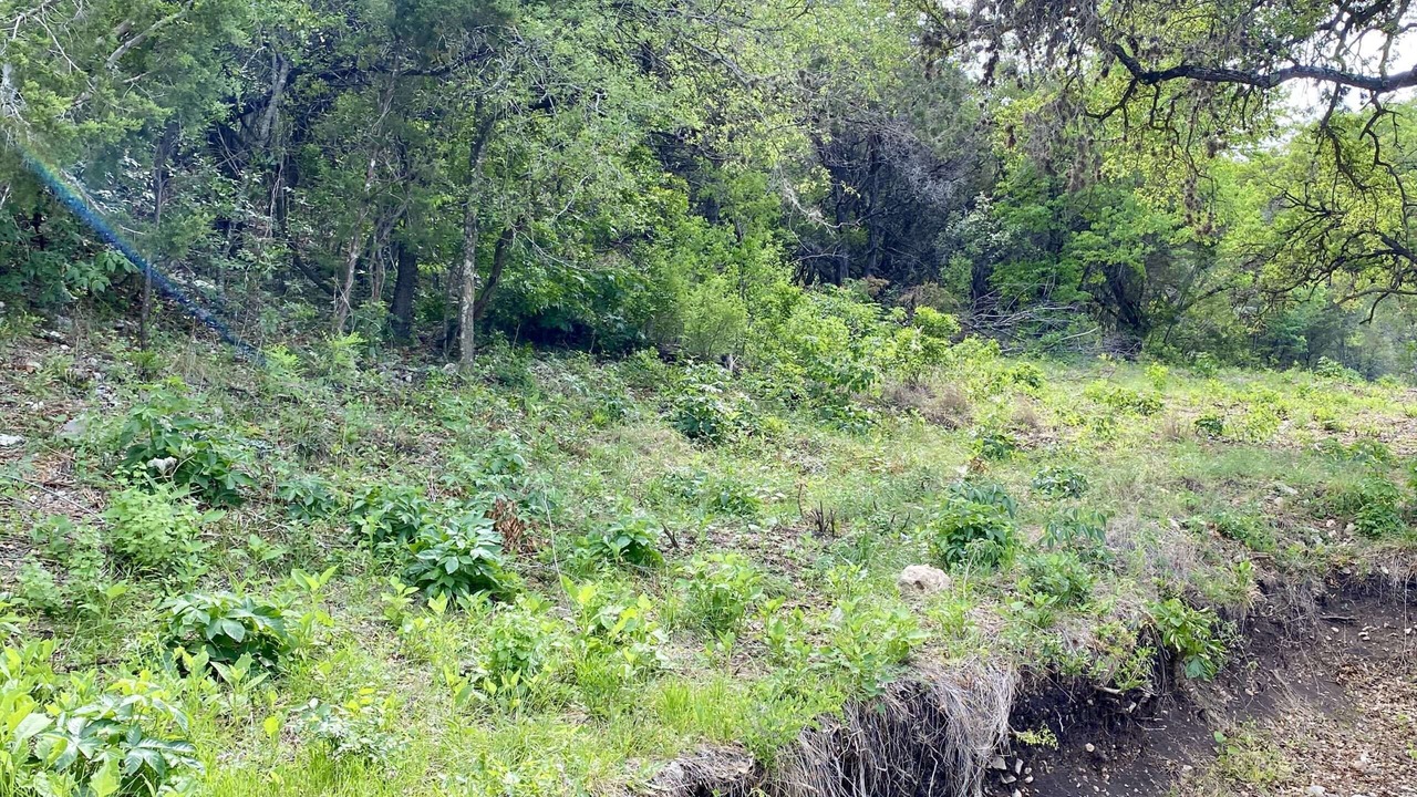 Photo of Outdoor in Concan