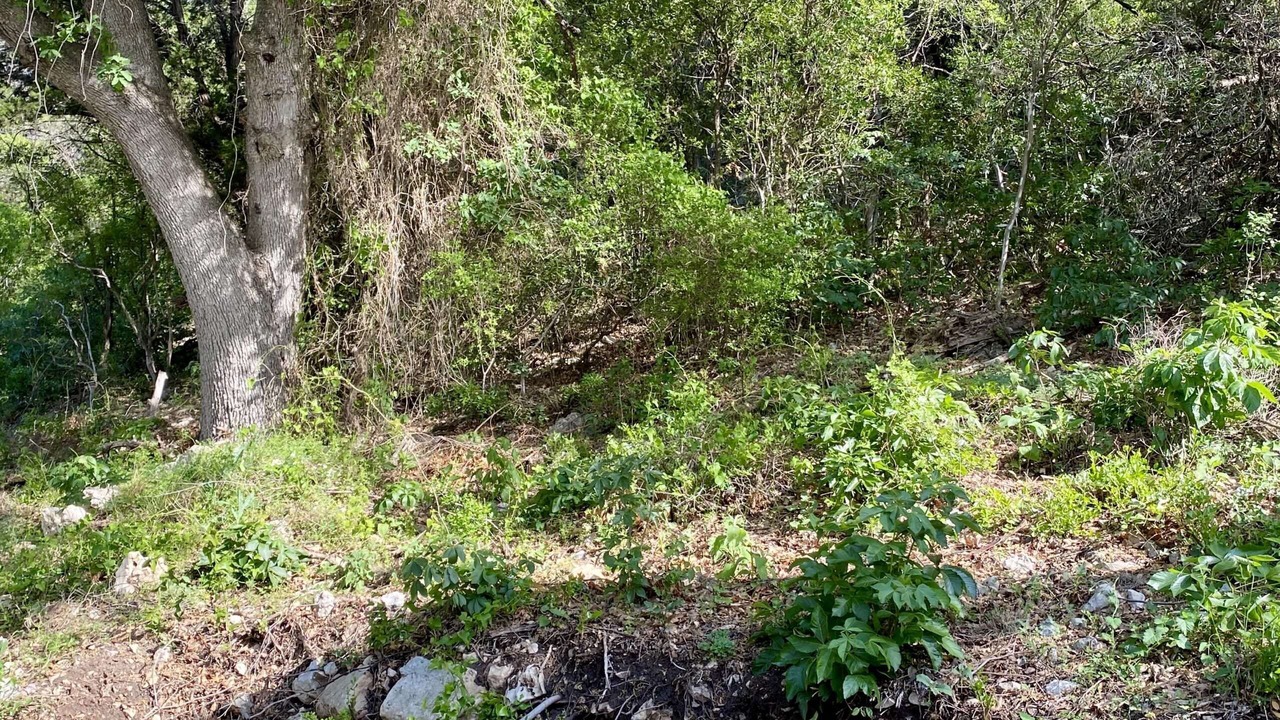 Photo of Outdoor in Concan