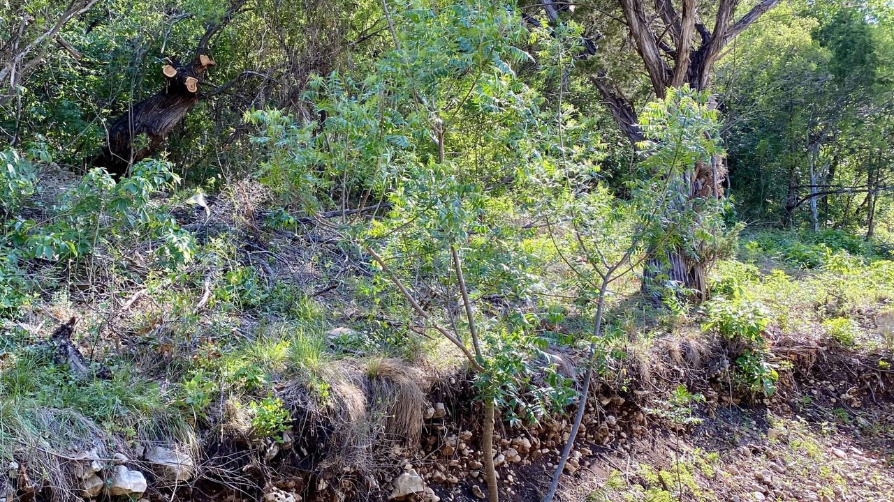 Photo of Outdoor in Concan