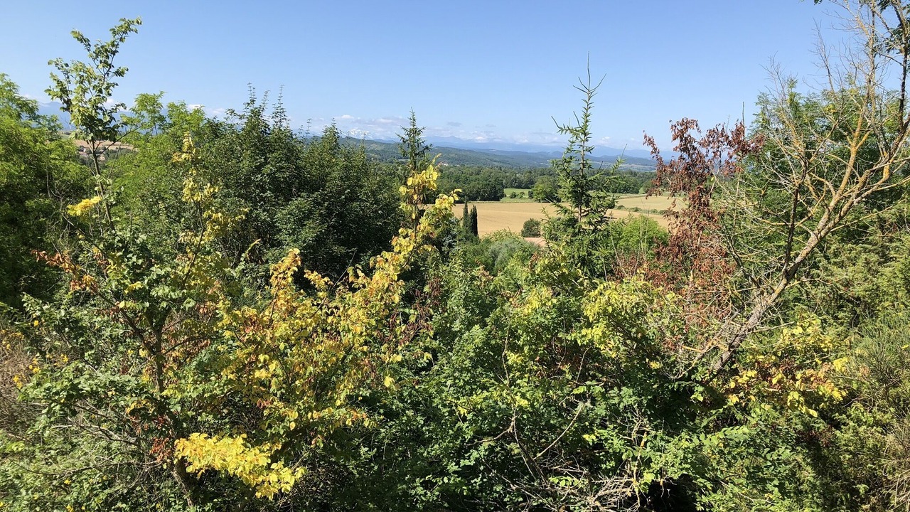 Photo of Outdoor in Mirepoix