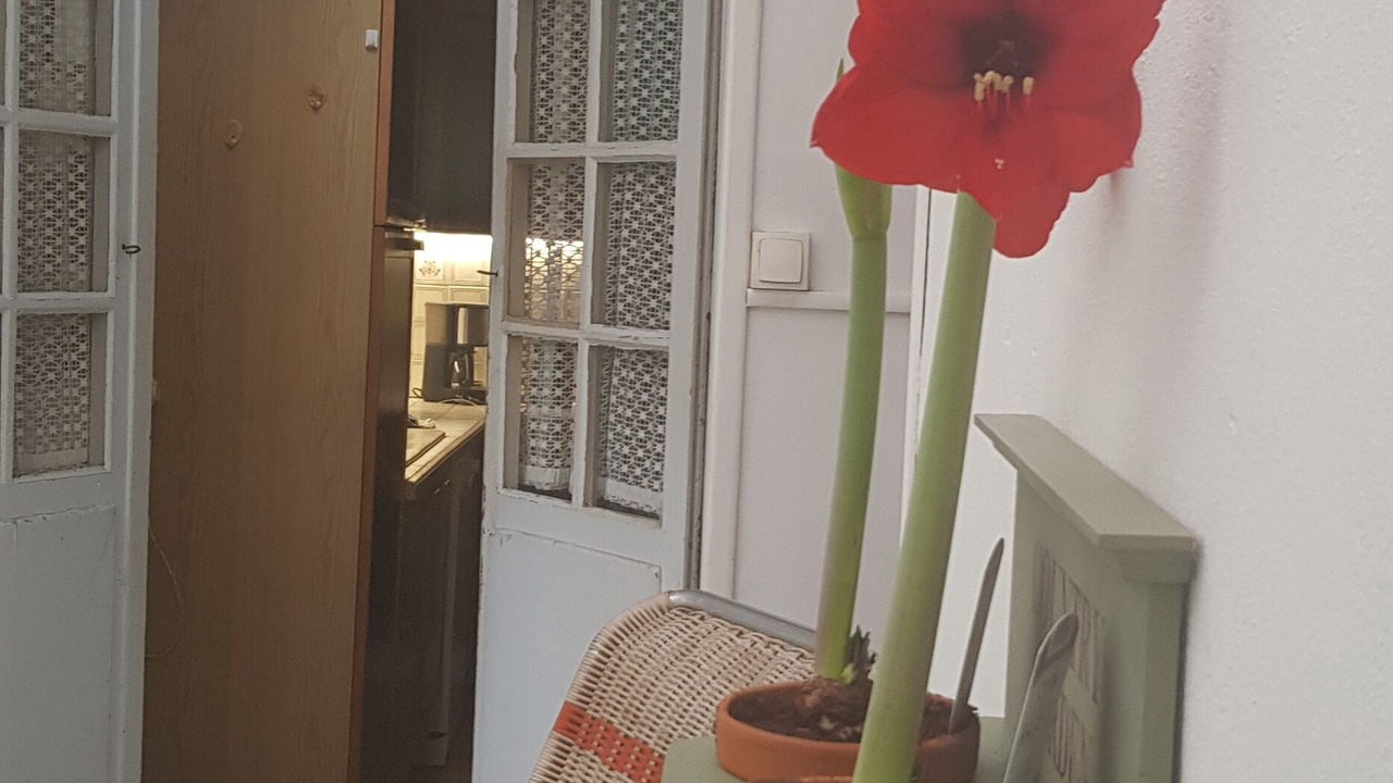 Photo of Others in Fontenay-le-Comte