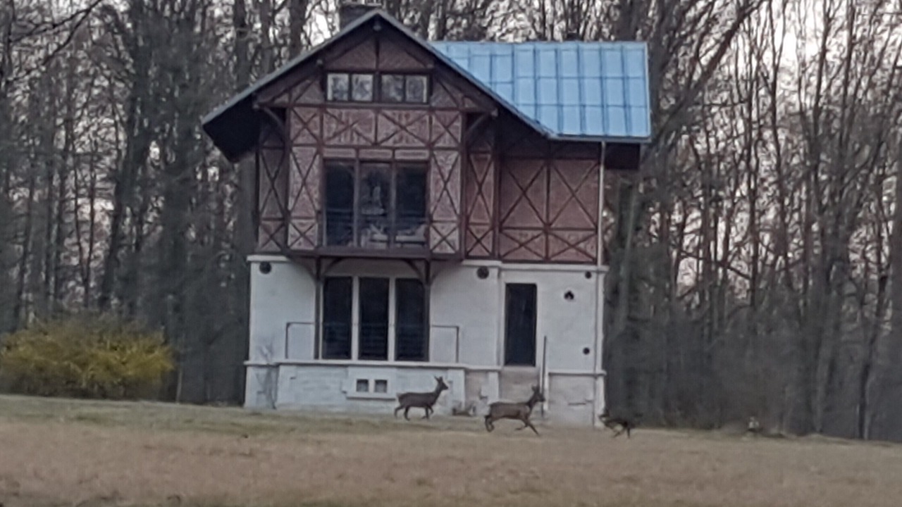Photo of Outdoor in Betz