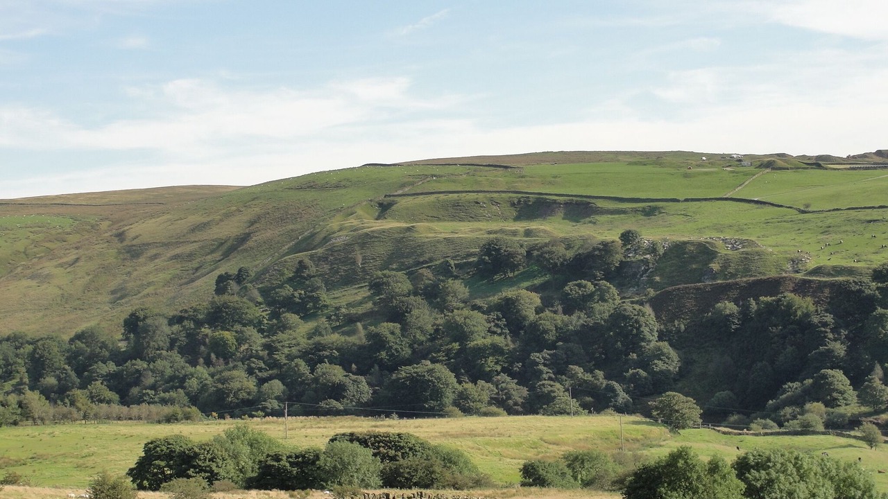 Photo of Others in Burnley