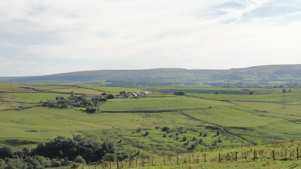 Photo of Others in Burnley