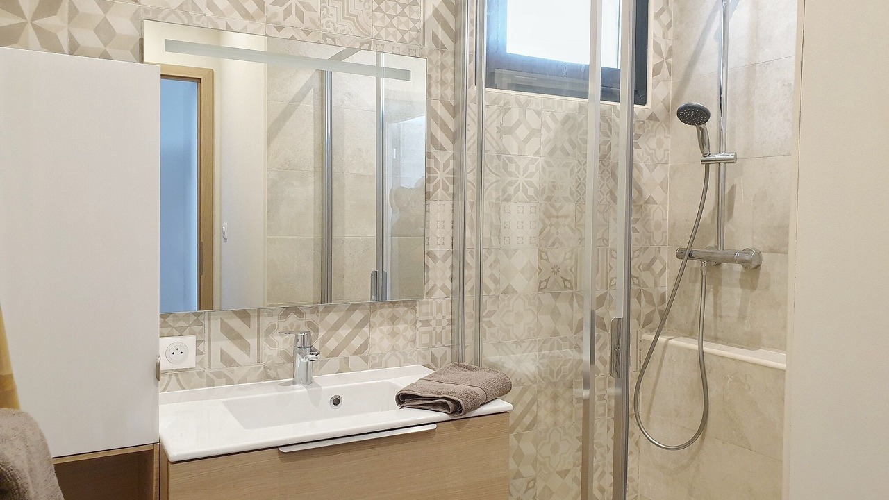 Photo of Bathroom in Olmeto