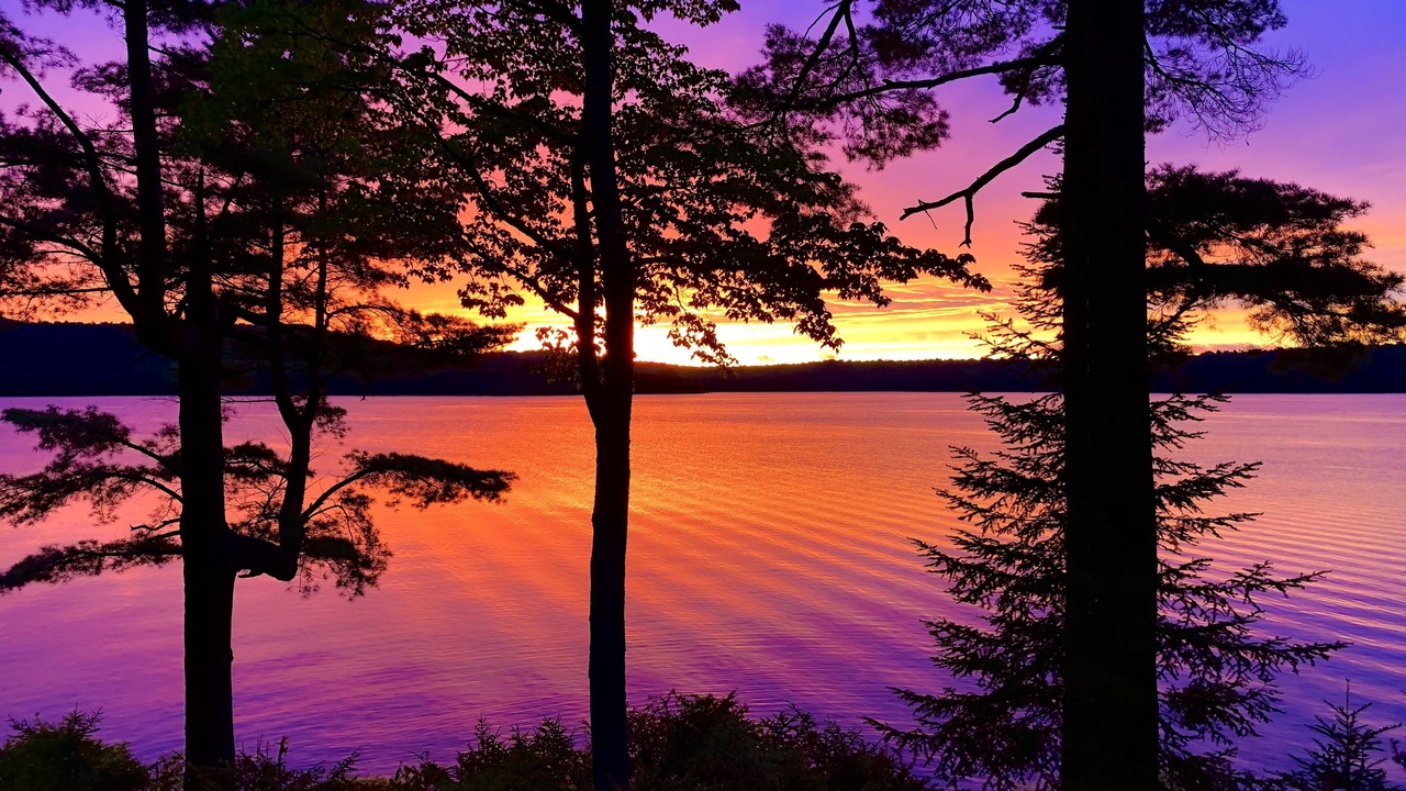 Photo of Others in Long Lake