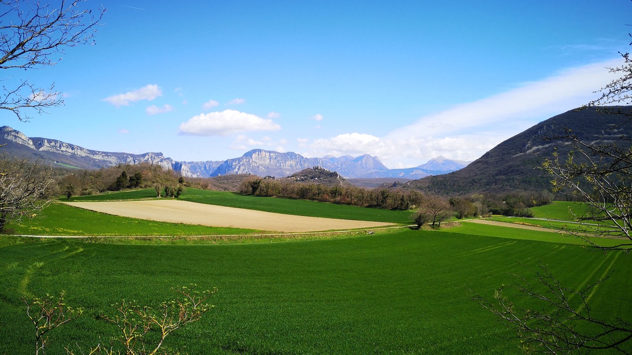 Photo of Others in Soyans