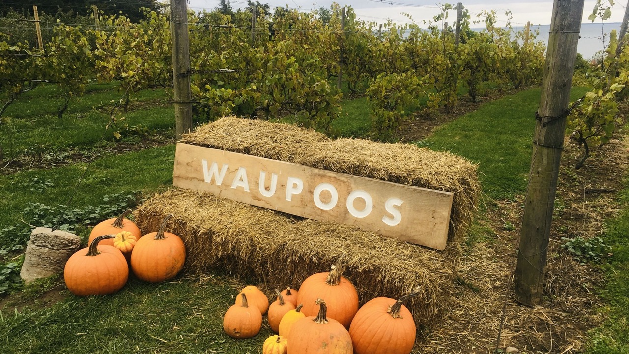Photo of Others in Waupoos