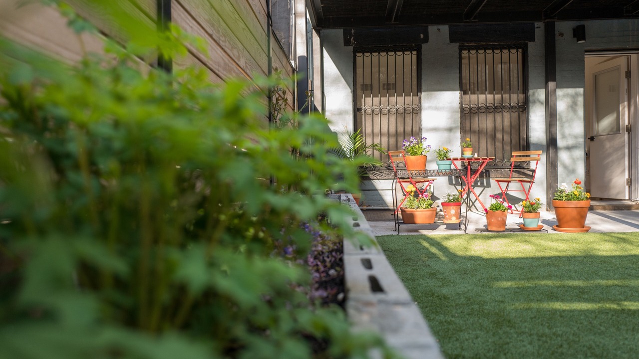 Photo of Outdoor in Ocean Hill