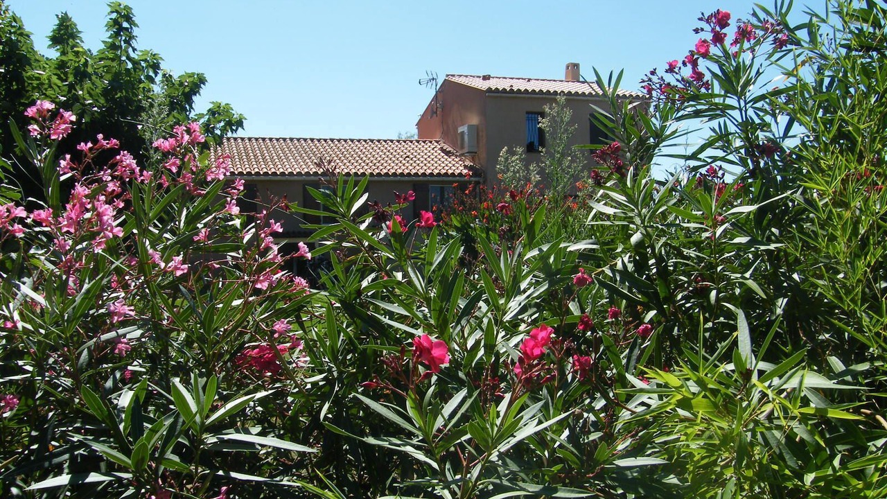 Photo of Outdoor in Elne