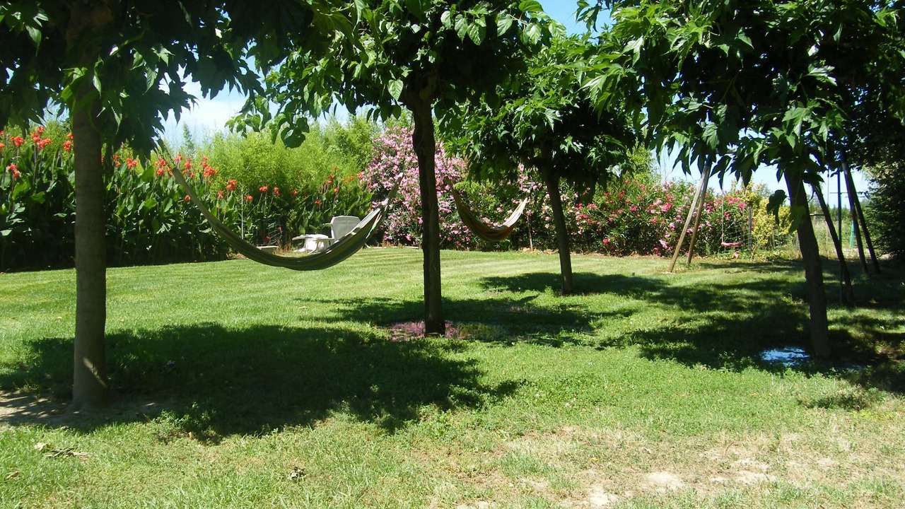 Photo of Outdoor in Elne