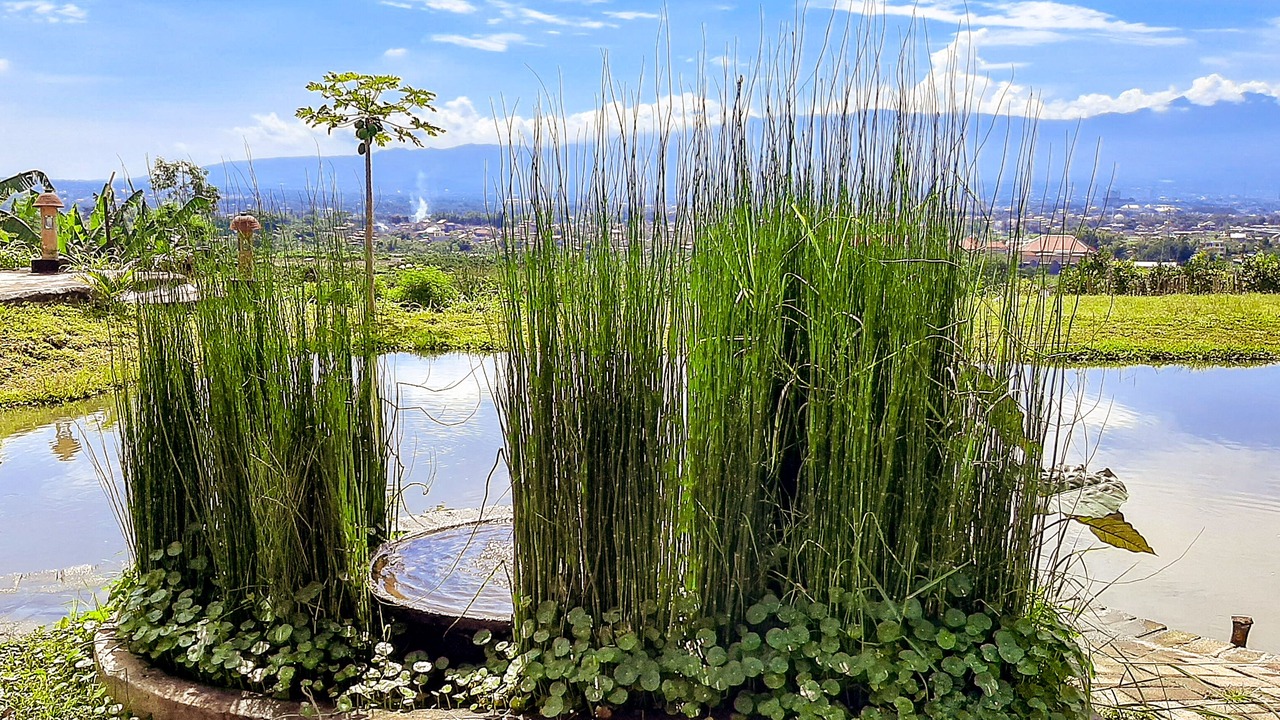 Photo of Outdoor in Dinoyo