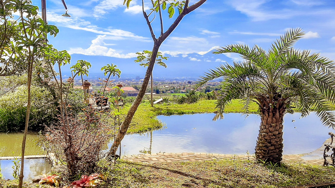 Photo of Outdoor in Dinoyo