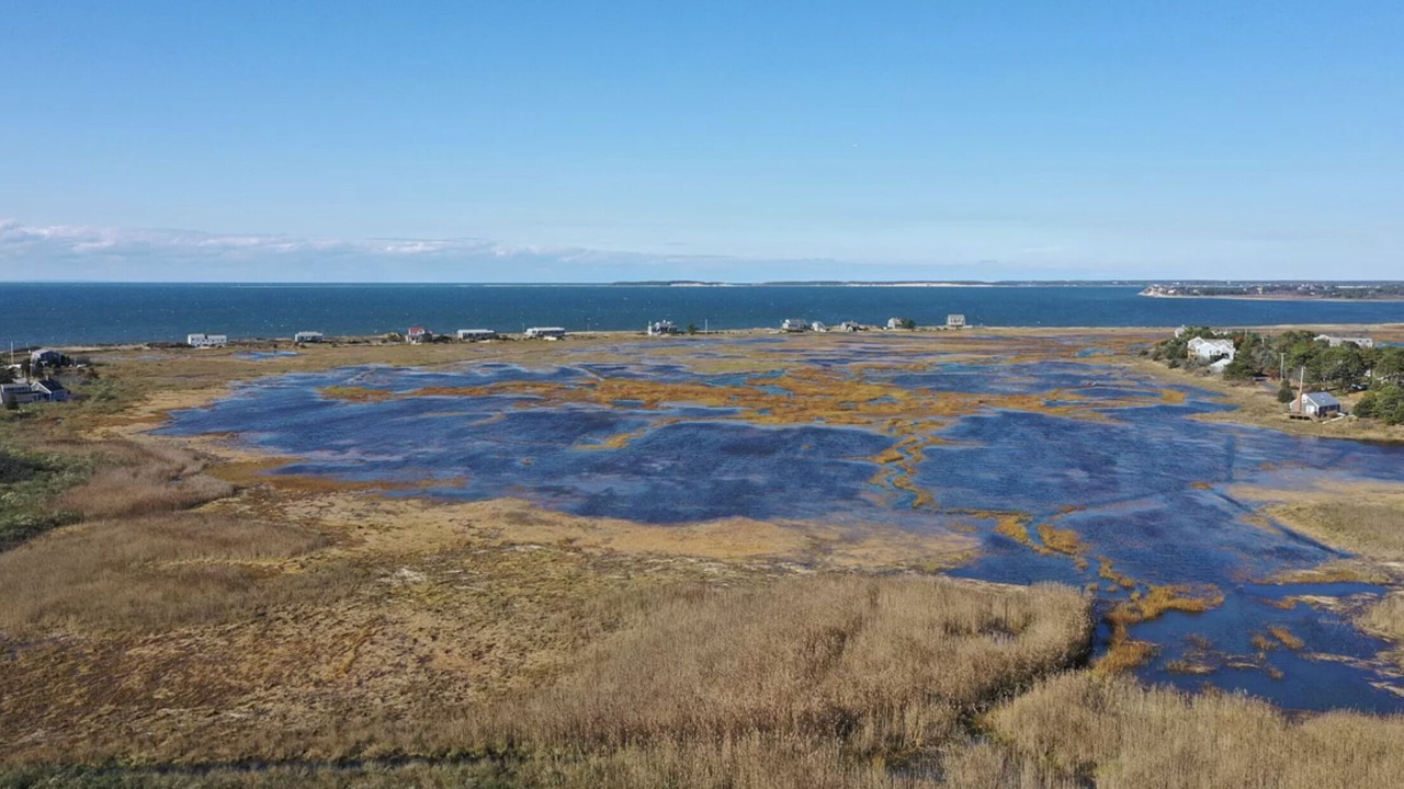 Photo of Others in North Eastham