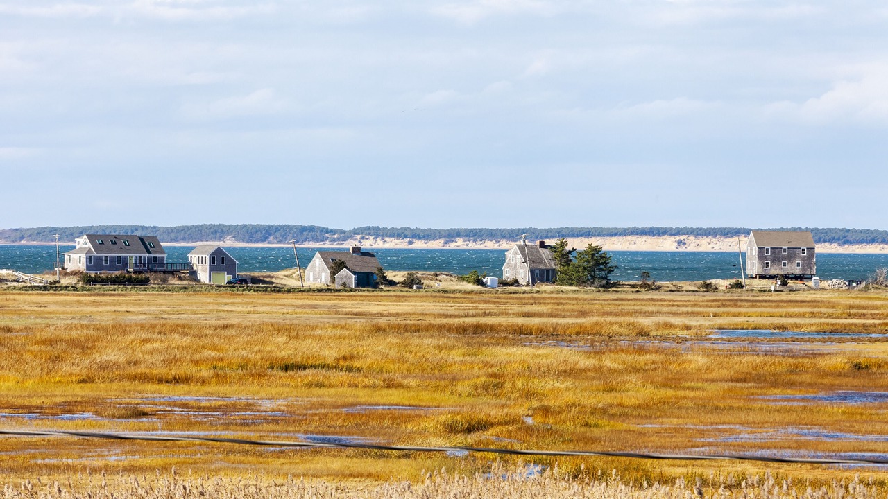 Photo of Others in North Eastham