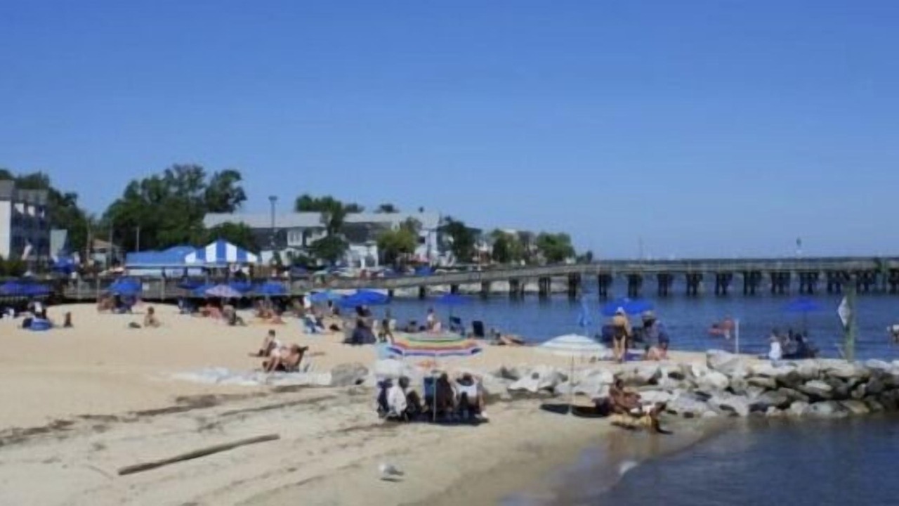 Photo of Others in North Beach