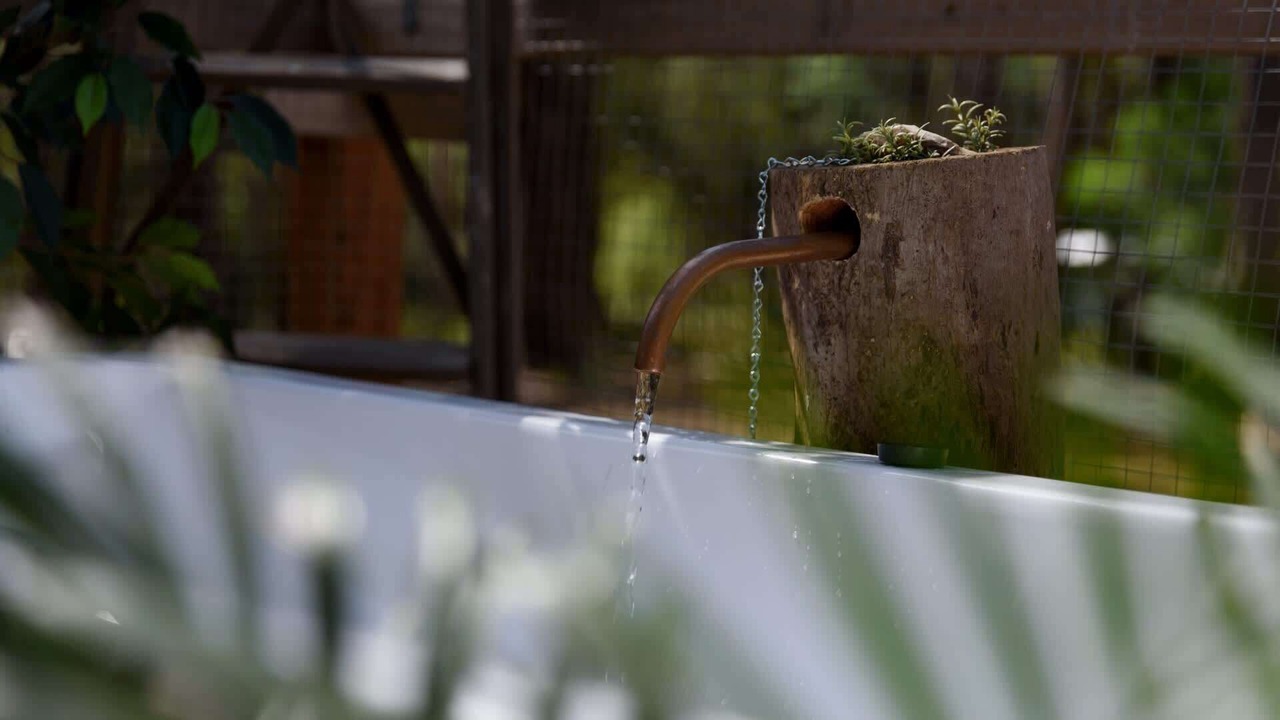 Photo of Others in Wheatsheaf
