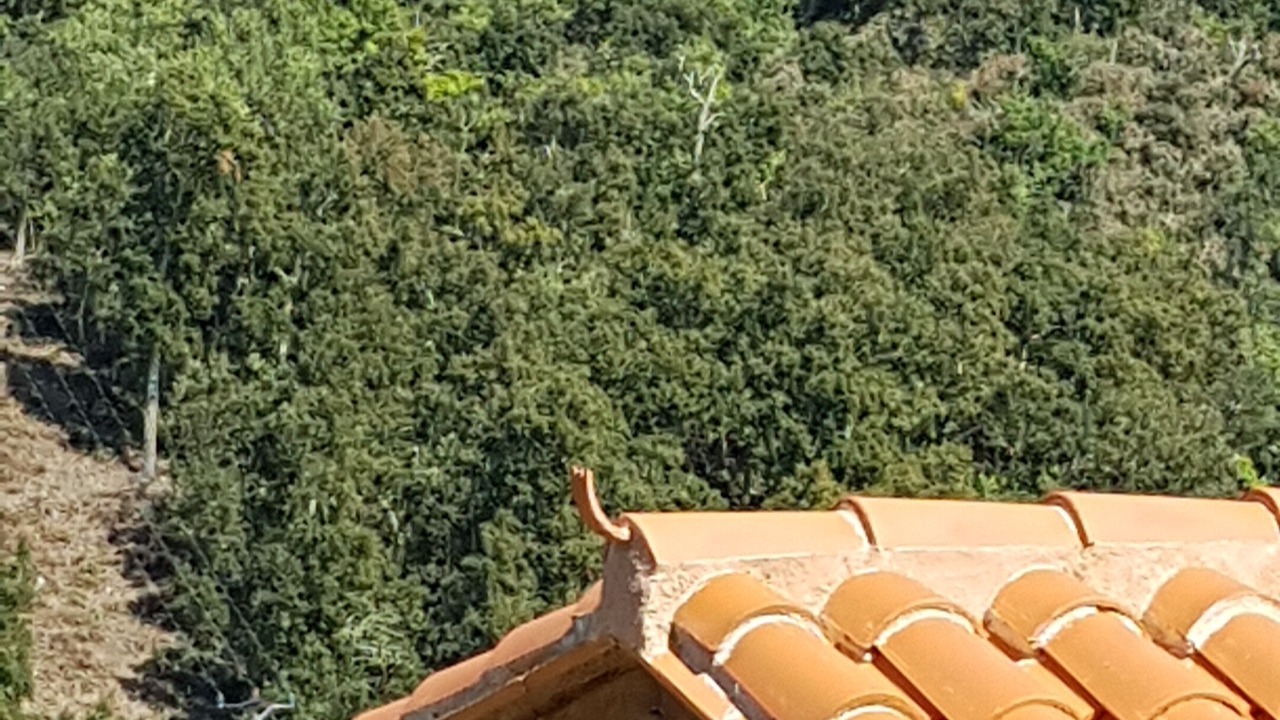 Photo of Outdoor in Reynes