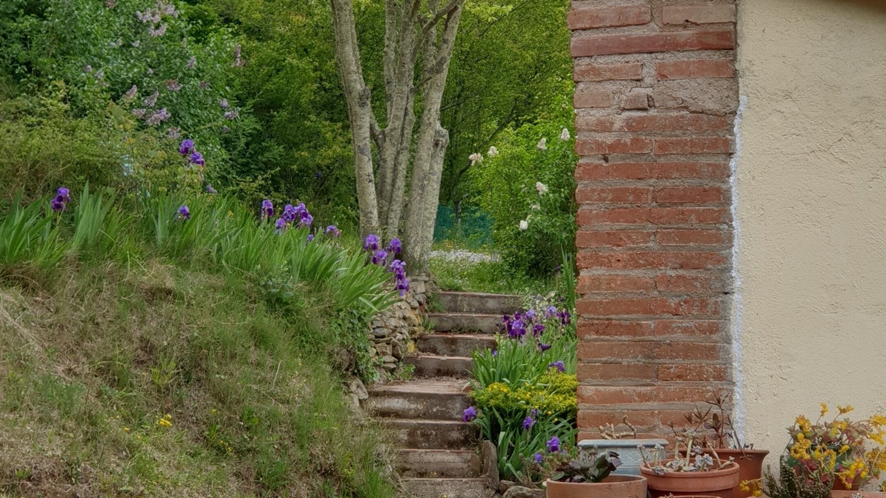 Photo of Outdoor in Reynes