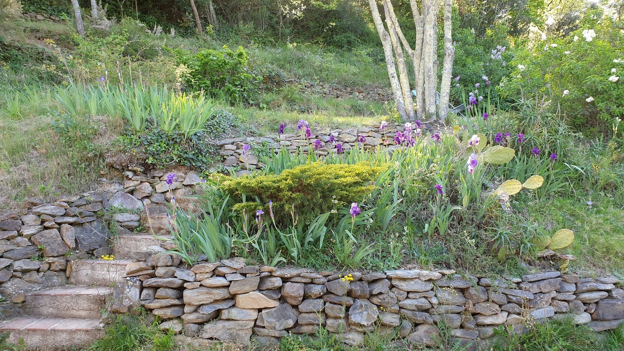 Photo of Outdoor in Reynes