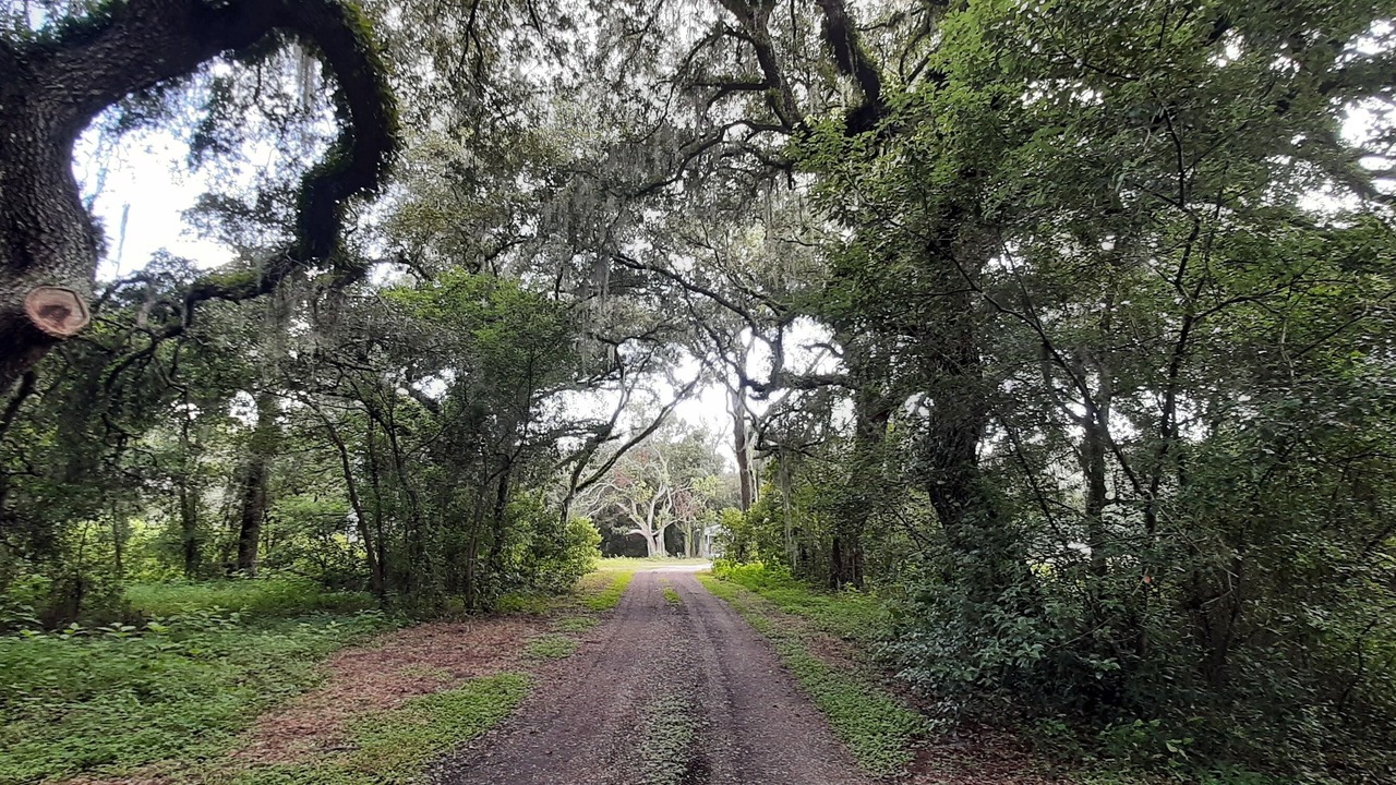 Photo of Outdoor in Zephyrhills West