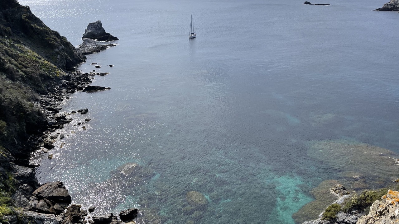 Photo of Others in Porquerolles