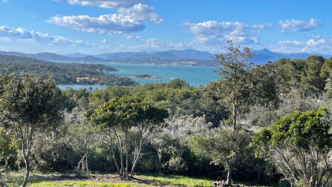 Photo of Others in Porquerolles