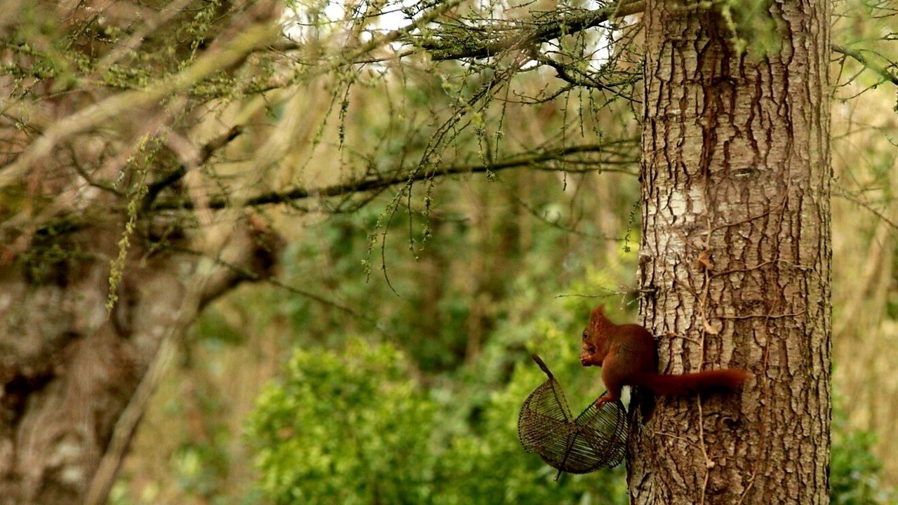 Photo of Outdoor in Trefumel
